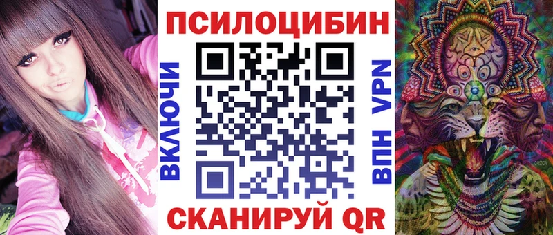 купить закладку Первомайск Галлюциногенные грибы GOLDEN TEACHER